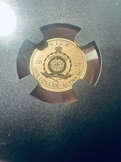 2026 dino 22k gold