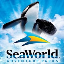 ❄️ SEAWORLD SAN DIEGO — TICKETS 🎟️ ! ❄️🎄