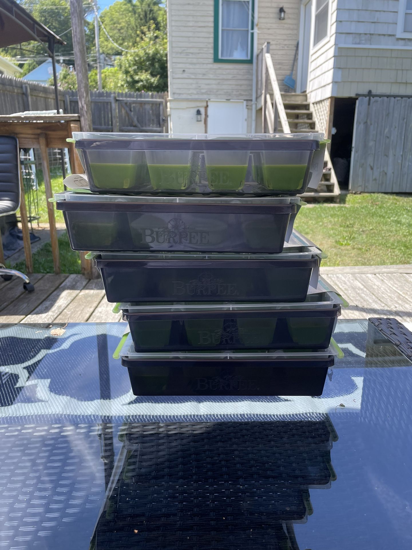 Starter Garden / 13 Different Species Plants