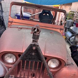 1955 Jeep CJ5