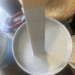 Flat Paint Color grey