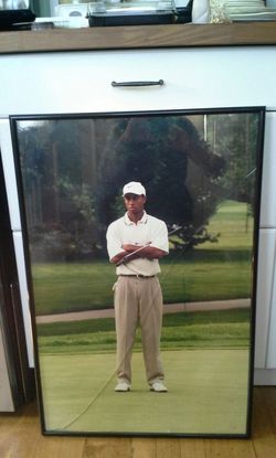 Professional Photograph & Frame 20” x 30” Black Matte Finish Aluminum Metal Frame. 1997 Photograph included.