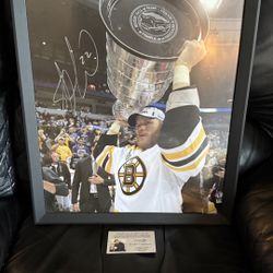 Shawn Thornton Signed Stanley Cup Photo With Coa!