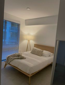 All Modern Queen Solid Wood Platform Bed