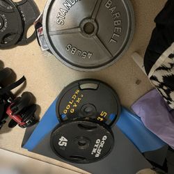 Metal 45lbs plates ($40 each)