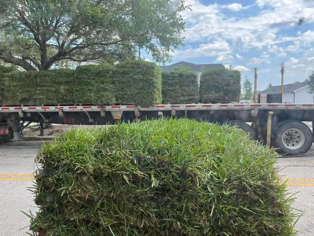 Grass / SOD