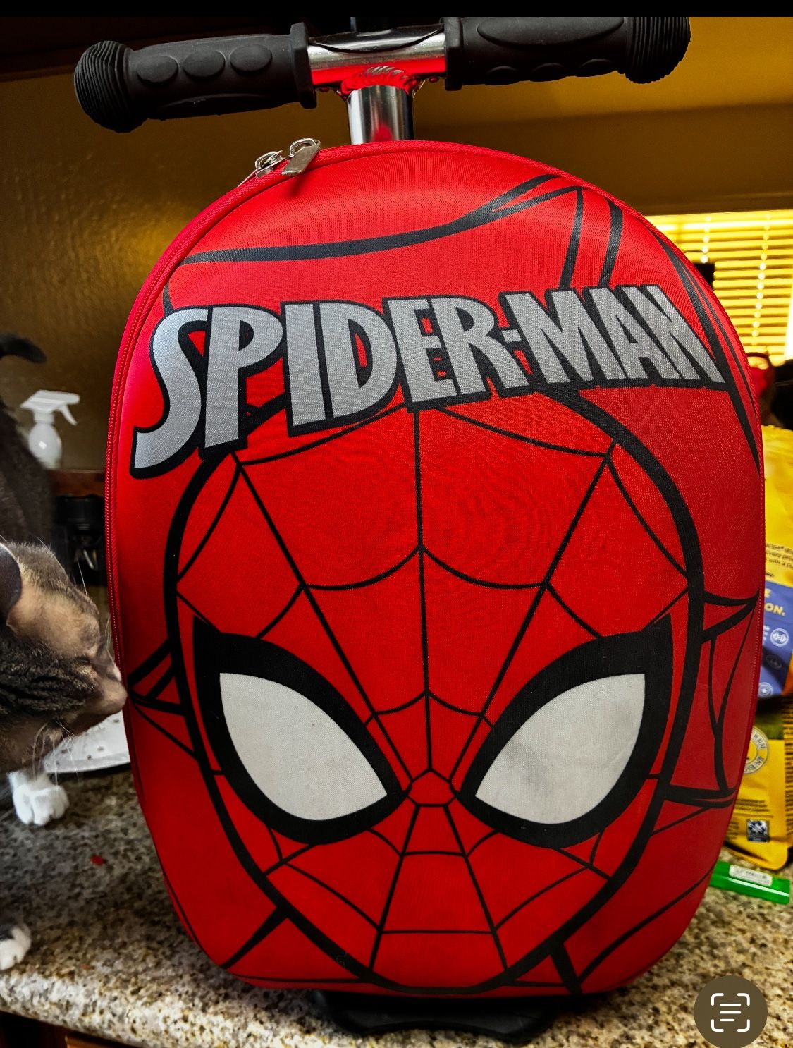 Spider-Man Carry On Scooter Suitcase