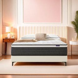 Clearance sale mattress