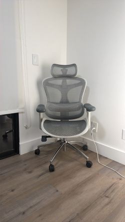 Sihoo C300 Ergonomic Office Chair with Advanced Back Support