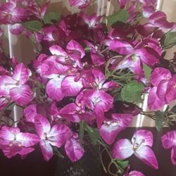Artificial Bougainvilleas 