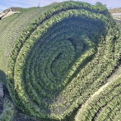 Recycled Artificial Turf