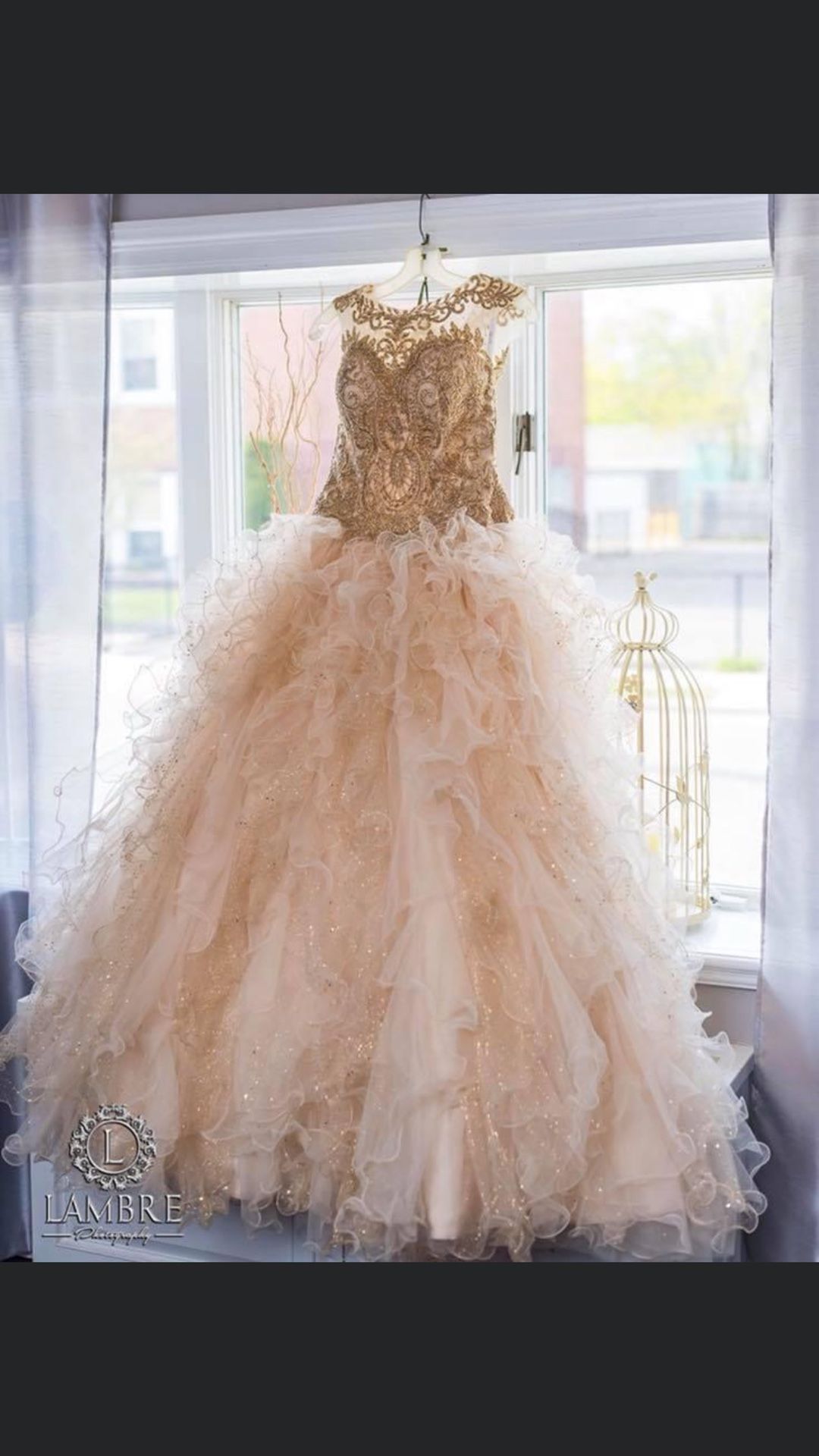 Stunning Sweet Sixteen Gown Retailed Over $1000! Please Note Dress Is Located In NY.