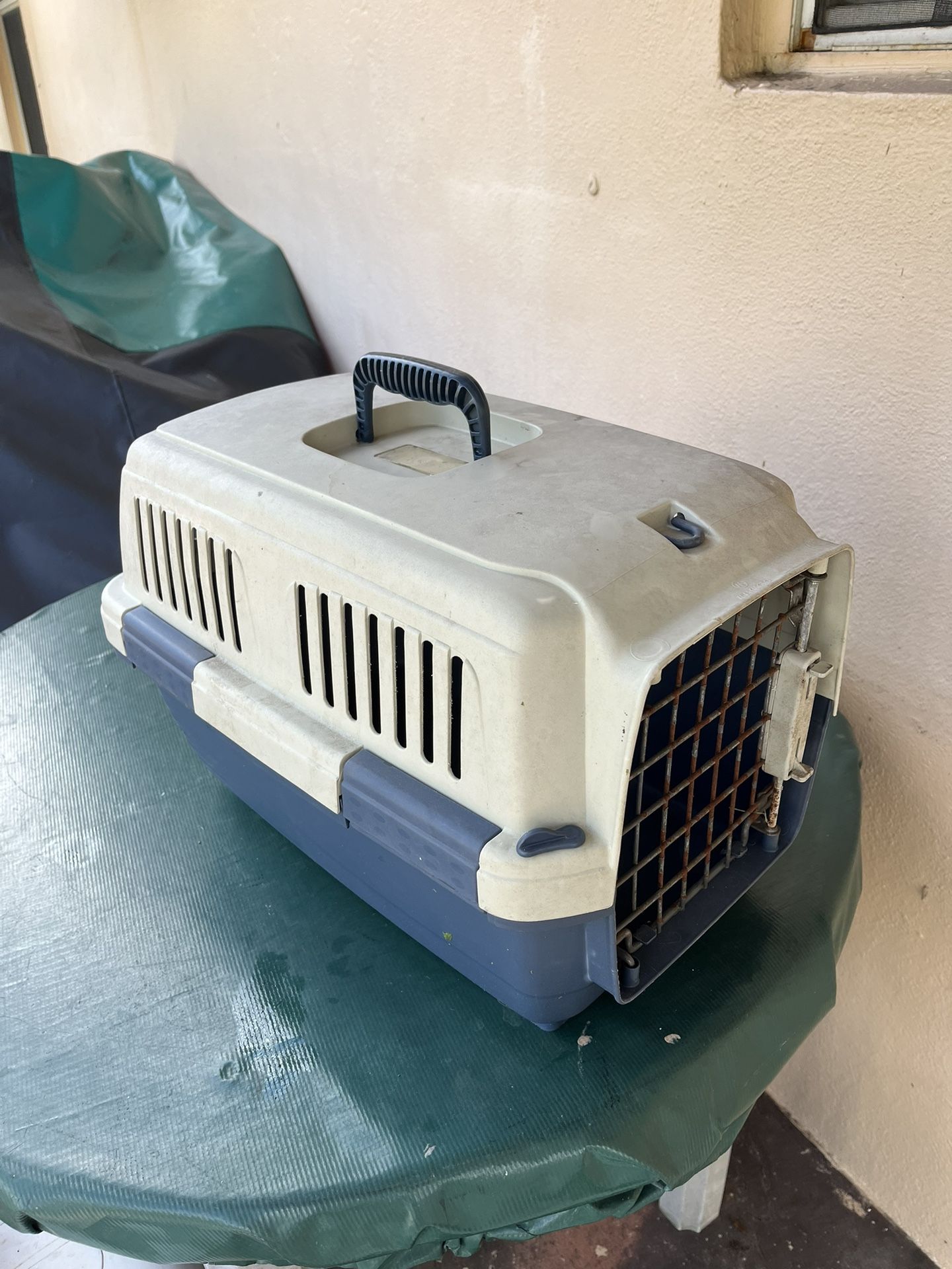Cat Carrier
