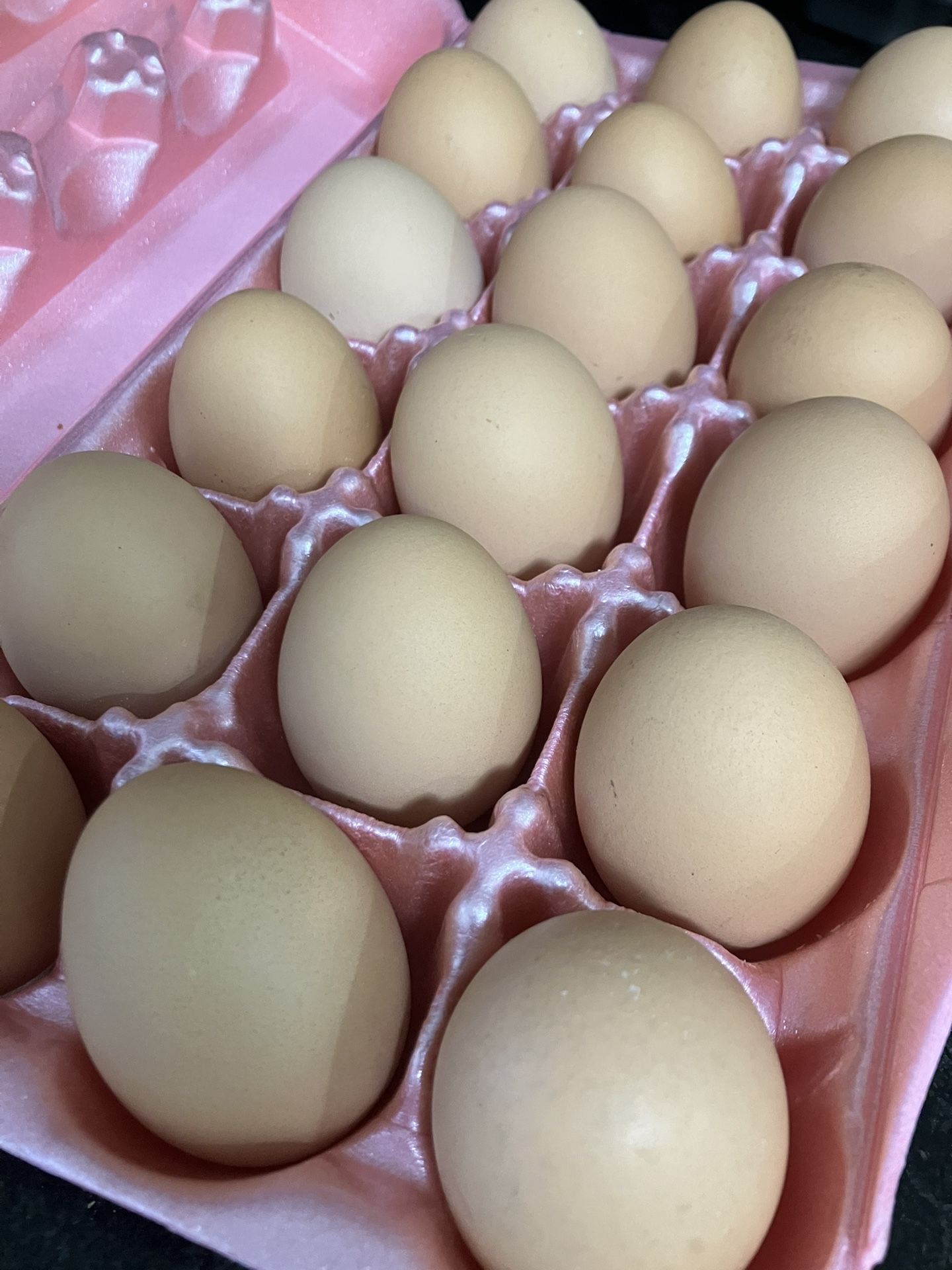 Fresh Brown Eggs