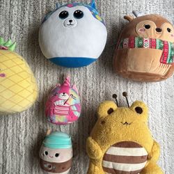 Squishies Galore