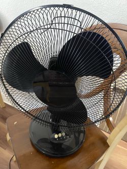 Fan