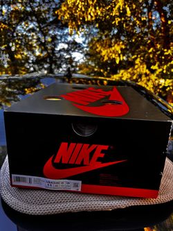 Size 11 - Virgil Abloh Archive x Air Jordan 1 Retro OG High Alaska
