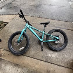 Kids Fat Tire Bike 