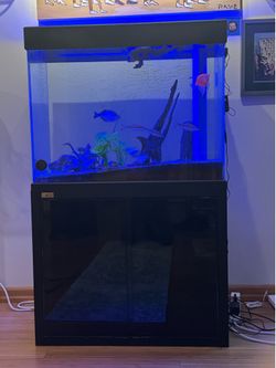 Fish tank - 50 Gallon