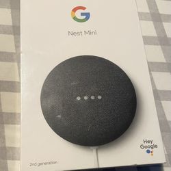 Google Nest Mini