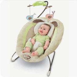 Baby Bouncer 