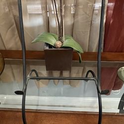 Pier 1 Plate Holder Display