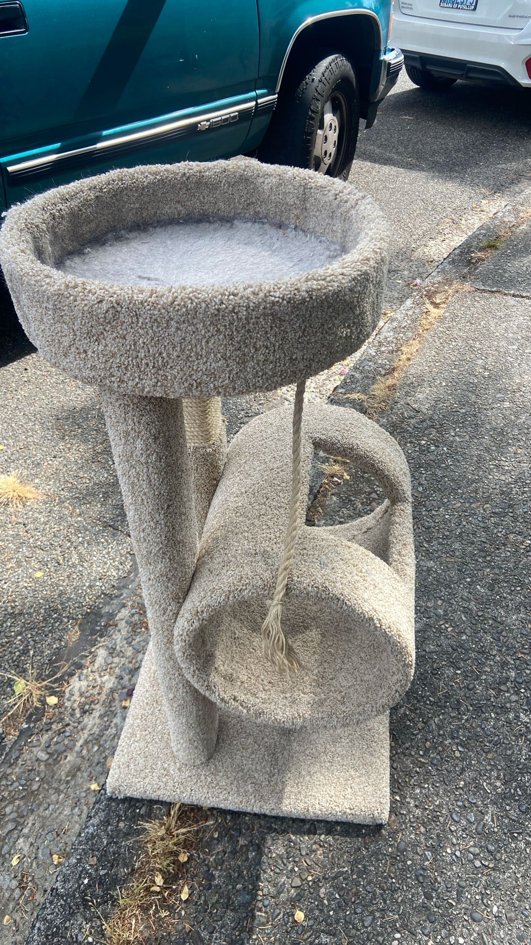 Cat House Price 20$. Pick Up E. 72. and Grand. E. Tacoma