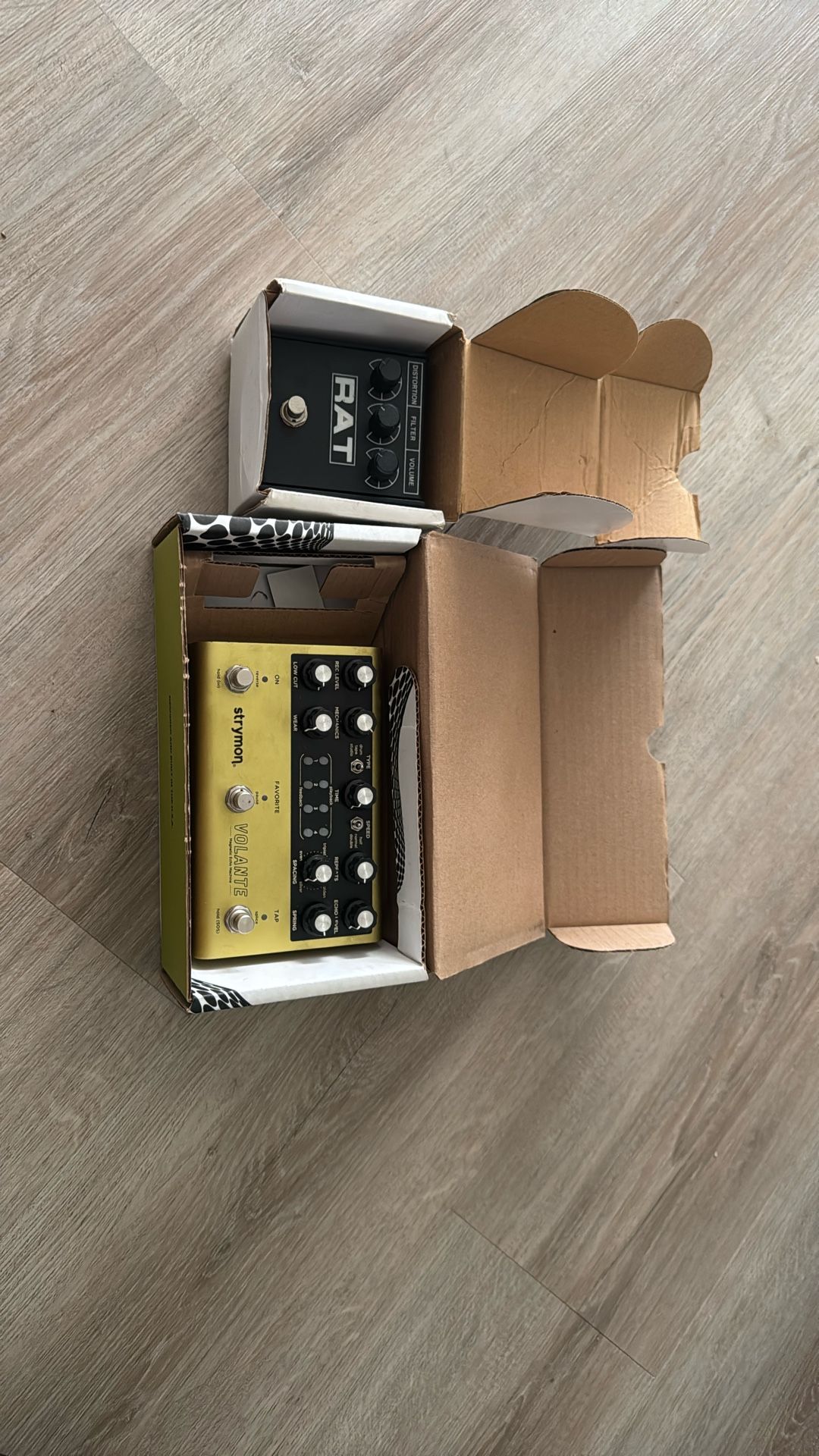 Strymon Volante Magnético Echo Machina —Pro Co RAT2 Distortion Pedal