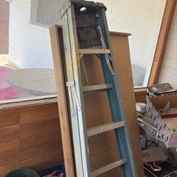 6 Ft Ladder 