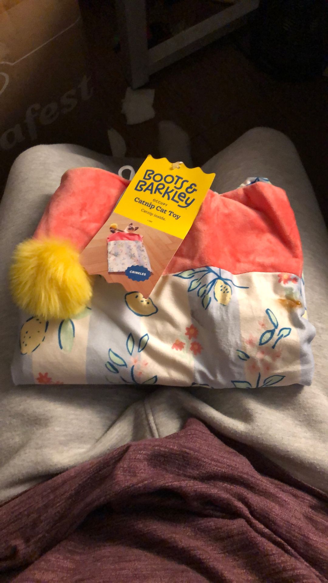 Free Cat Toy