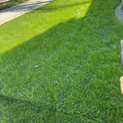 Lawn Mower
