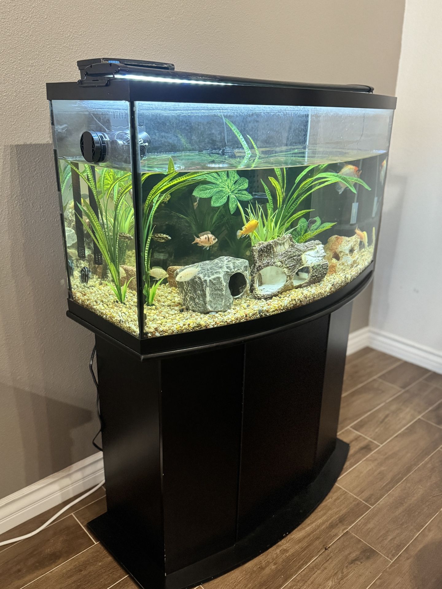 40 Gallon Fish Tank With Stand