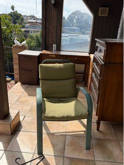 Pair of 2 outdoor chairs with green cushions.