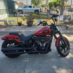 2022 Harley davidson Street bob 114
