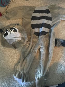 Baby Raccoon Costume 