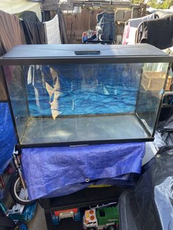 Glass Reptile Terrarium 30”x12”x19”