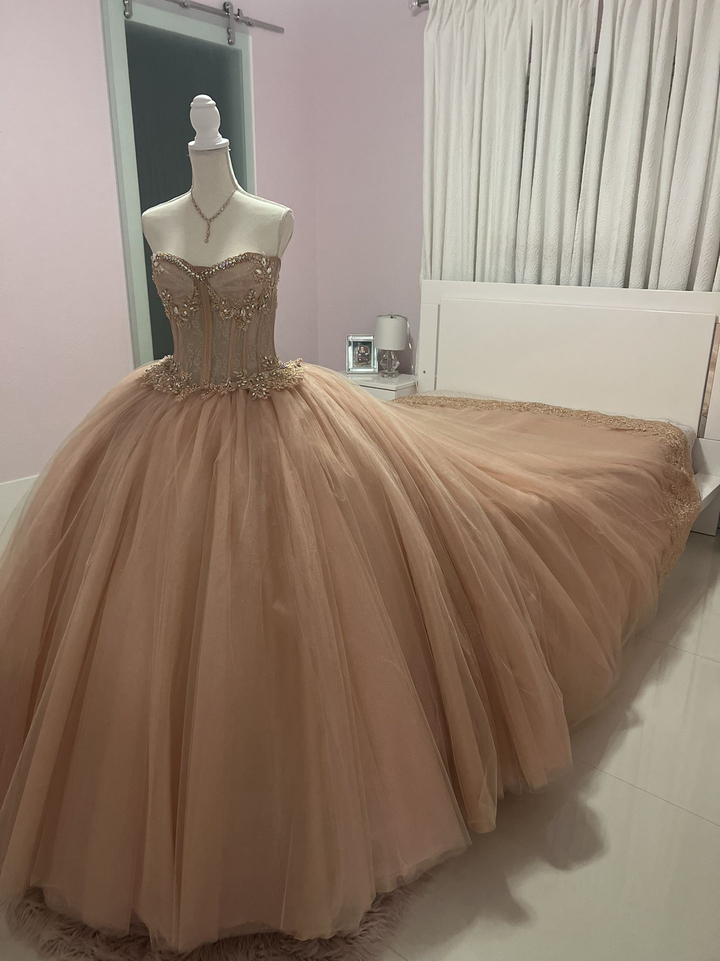 Quinceañera/ Prom Dress 