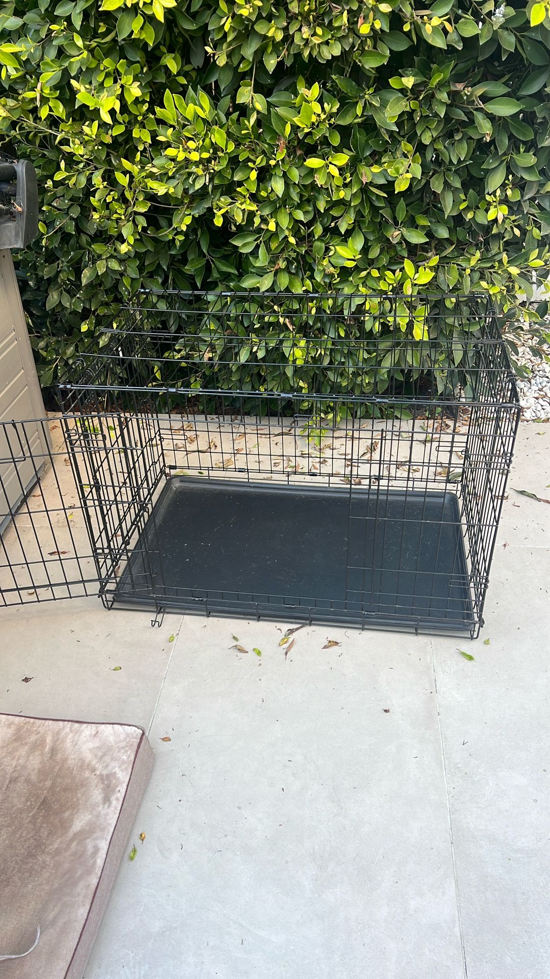 Collapsible Dog Crate