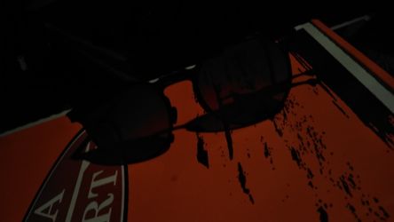 Riviera roav sunglasses