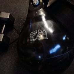 Aqua Punching Bag