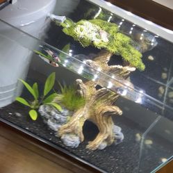 5 Gallon Nano Tank 