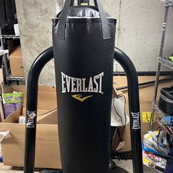 Everlast Punch Bag and Stand