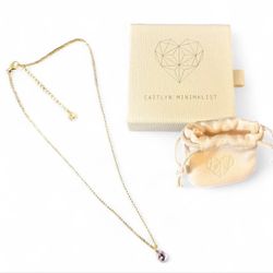 Caitlyn Minimalist 18K Gold plated North Star Birthstone signet Necklace - June / Alexandrite