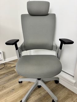 Ergonomic Office Chair