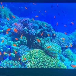 70 Inch Vizio Hd 