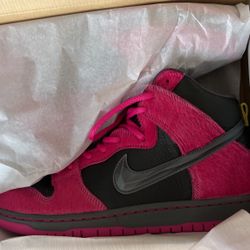 Nike sB DUNK