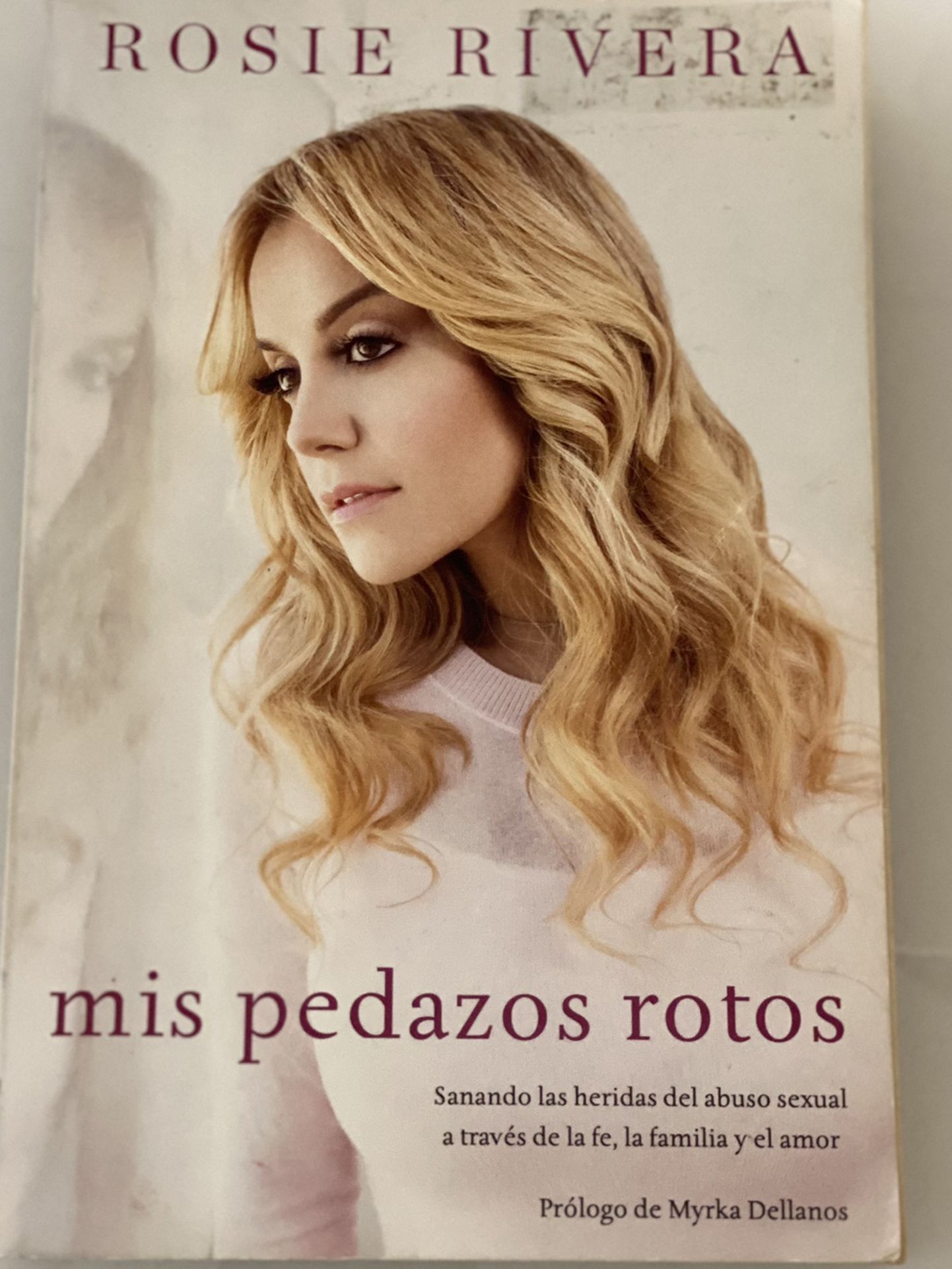 Book: Mis Pedazos Rotos By Rosie Rivera