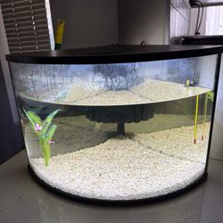 6 Gallon Corner Aquarium 