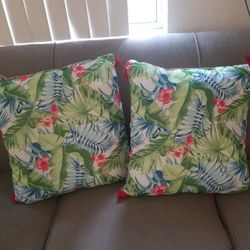 Outdoor Cushions
