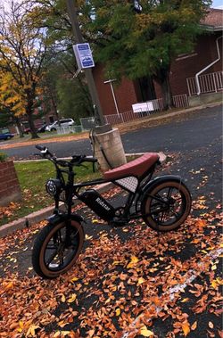 ebike riddstar